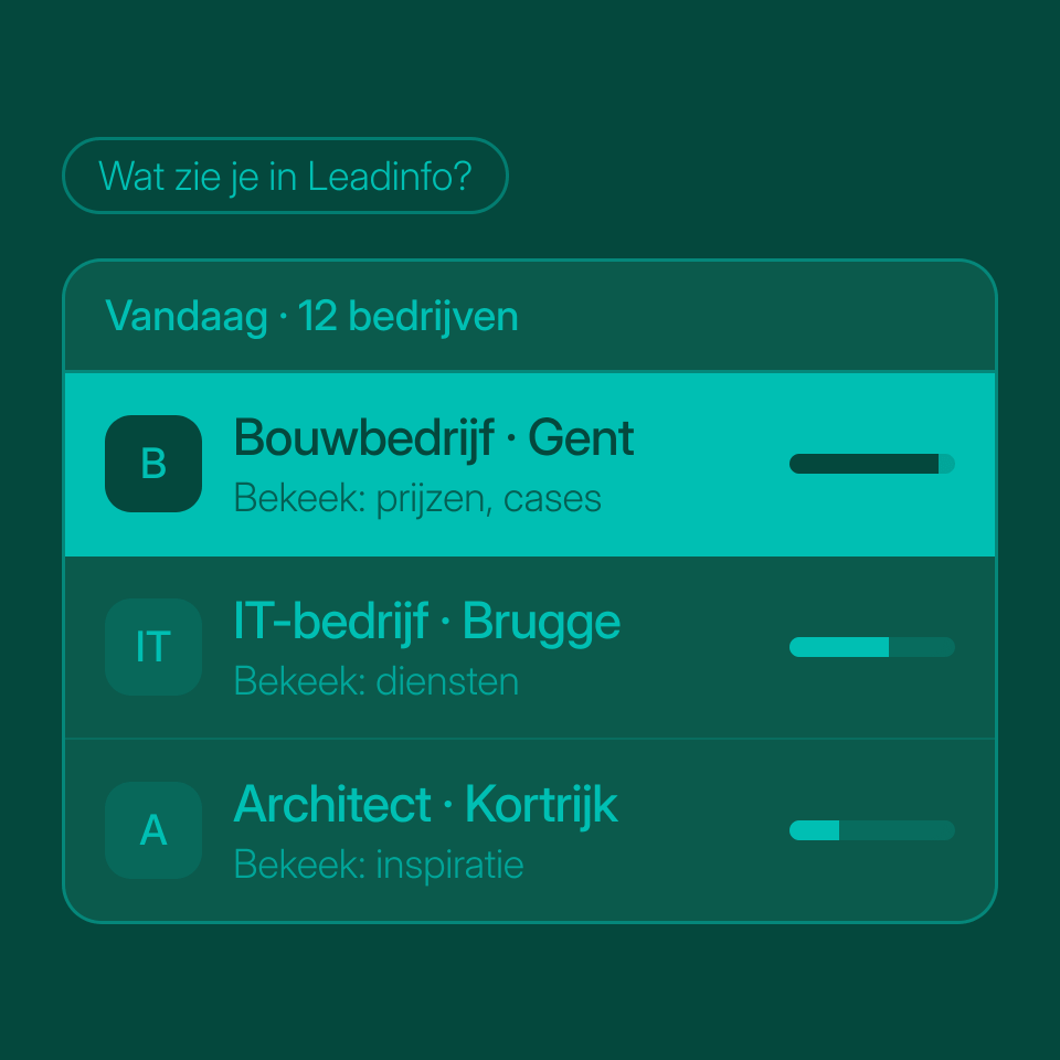 Wat zie je in Leadinfo?